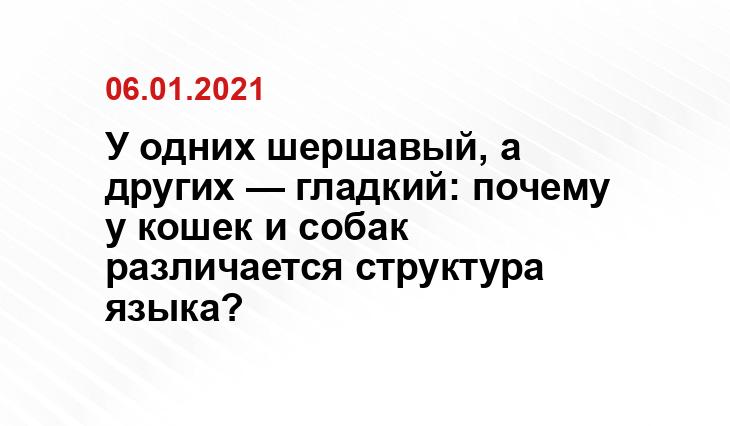 mejn-kun.ru