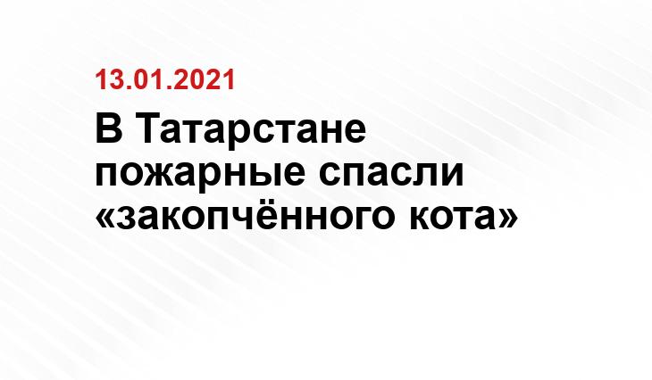 Кадр из видео