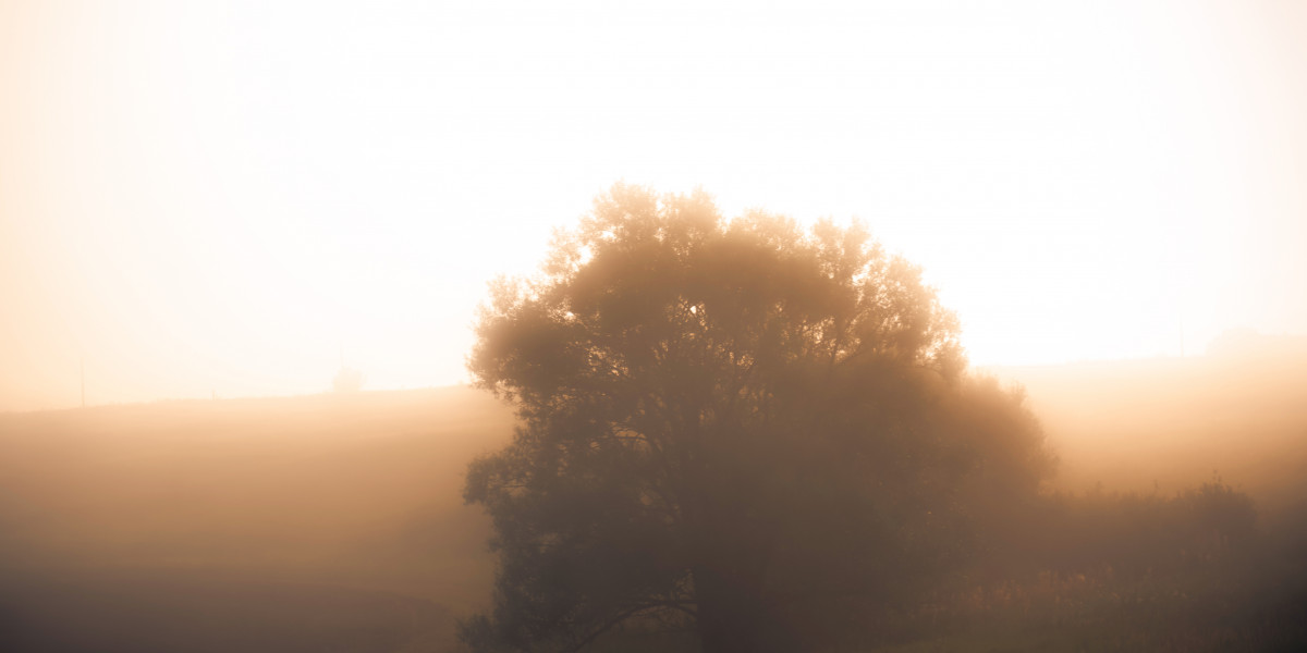 В Татарстане к концу недели потеплеет почти до 20 градусов Светлана Мулыкина