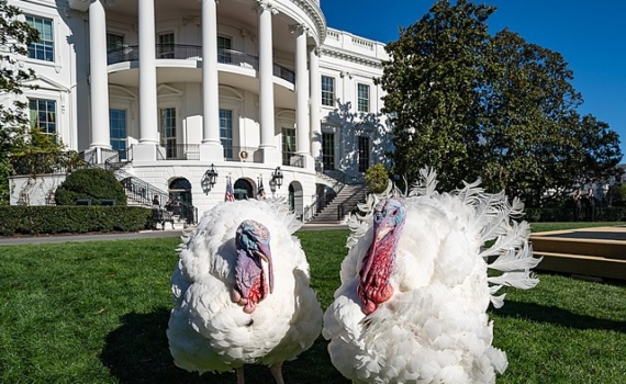 Вавилов: В торговой войне США и Китая наступит пауза до 2026 года