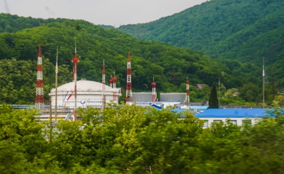 Огородников: Индия воспользуется услугами посредников для обхода сырьевых санкций США Огородников: Индия воспользуется услугами посредников для обхода сырьевых санкций США