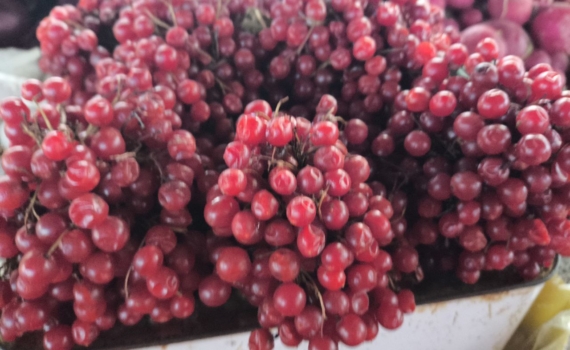 Одна ошибка — и урожая не будет: как спасти смородину весной Одна ошибка — и урожая не будет: как спасти смородину весной